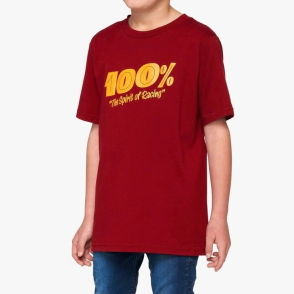 REMERA PRICE Youth T-Shirt Brick - 100%